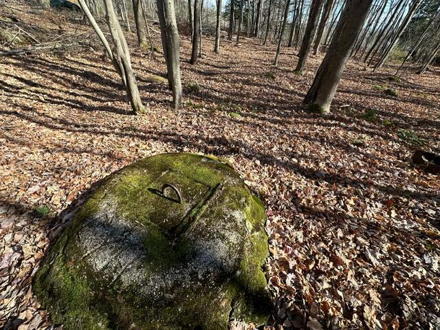 801 Bog Road Kingfield, ME 04947 - Photo 13 of 37 image6