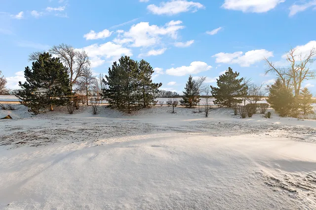 $769,000 | 8137 Stanley Trail South, Frankfort, IL 60423