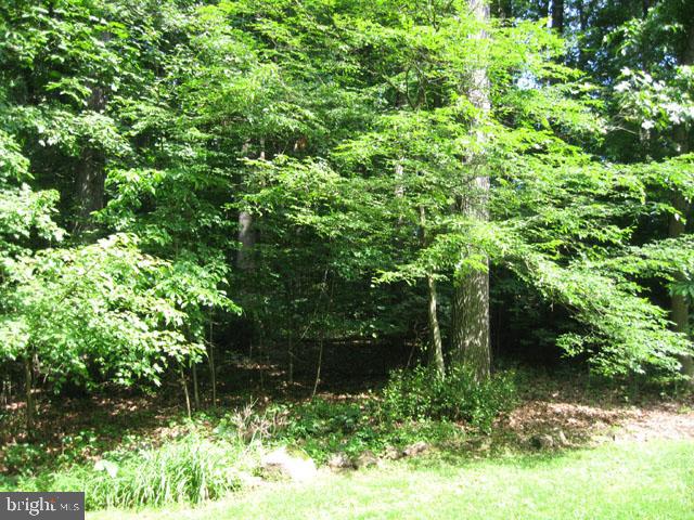 133 Timber Lane Lebanon, PA 17042 - Photo 13 of 13 Gallery Image 13
