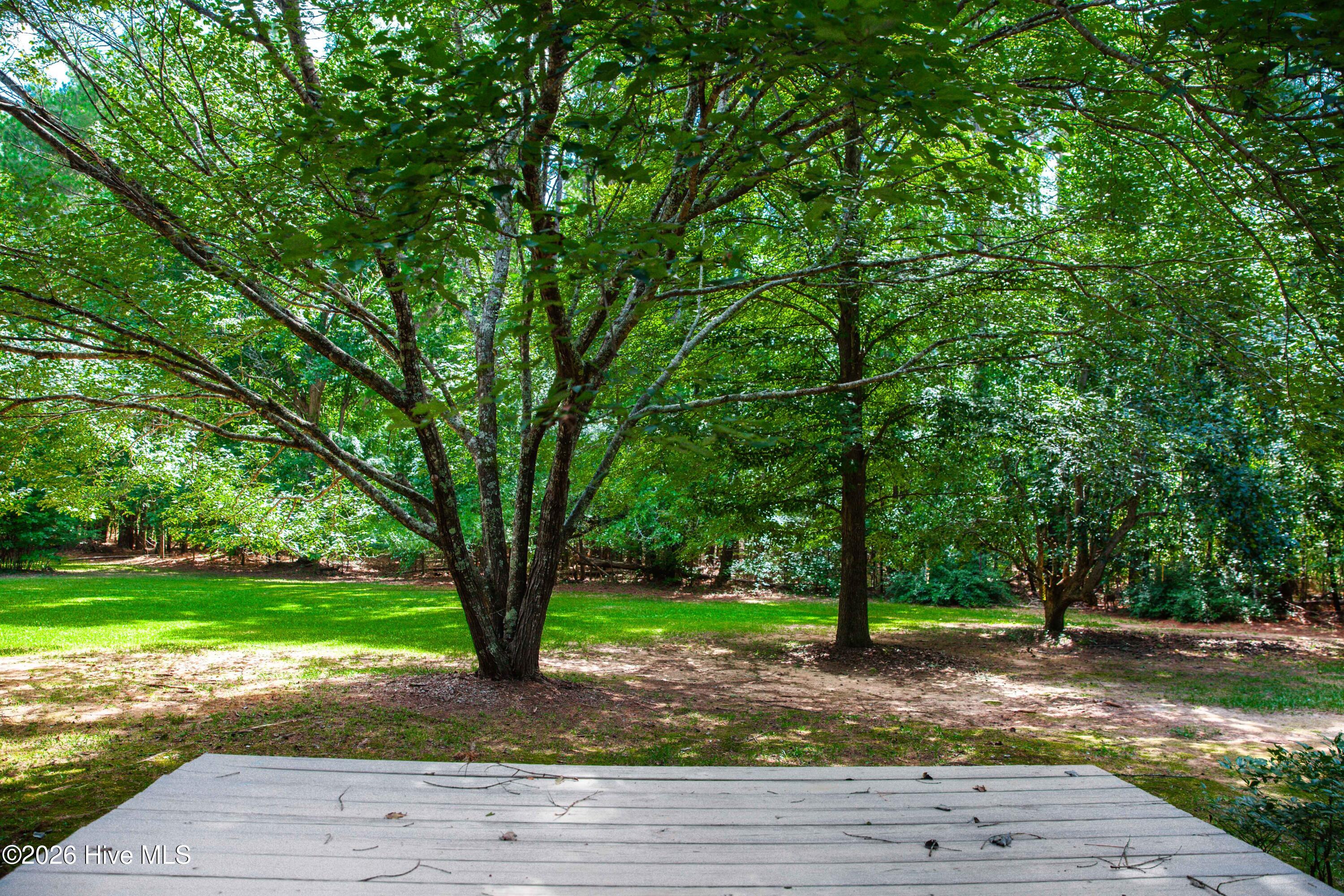 6768 Cobbham Road Appling, GA 30802 - Photo 42 of 46