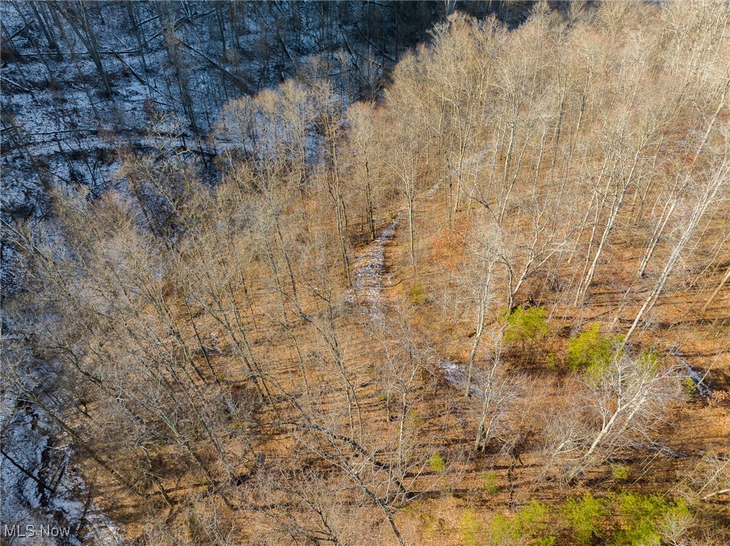 9 County Road New Matamoras, OH 45767 - Photo 42 of 48 View of nature