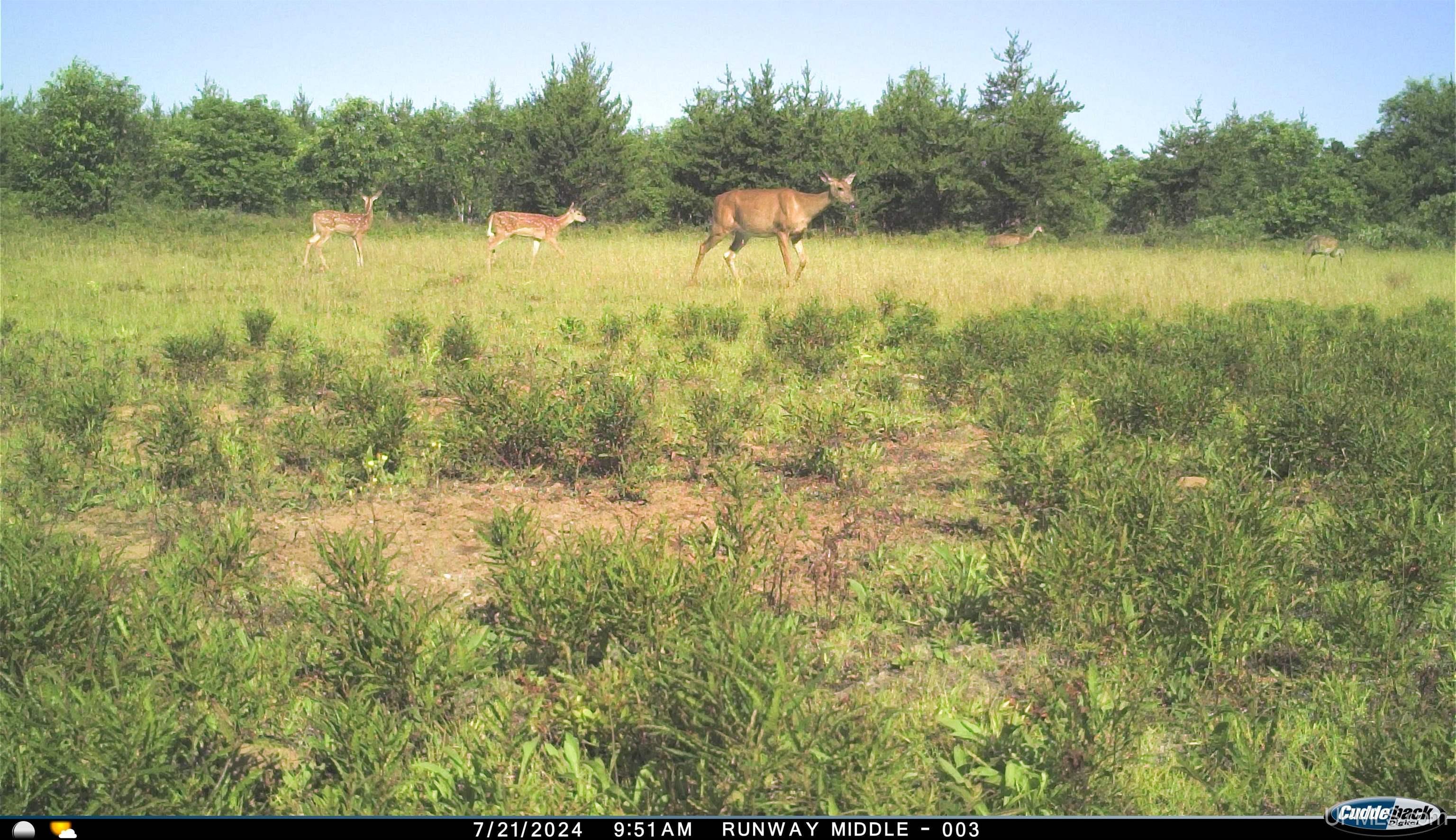 38140 County Road 581 Ishpeming, MI 49849 - Photo 56 of 58