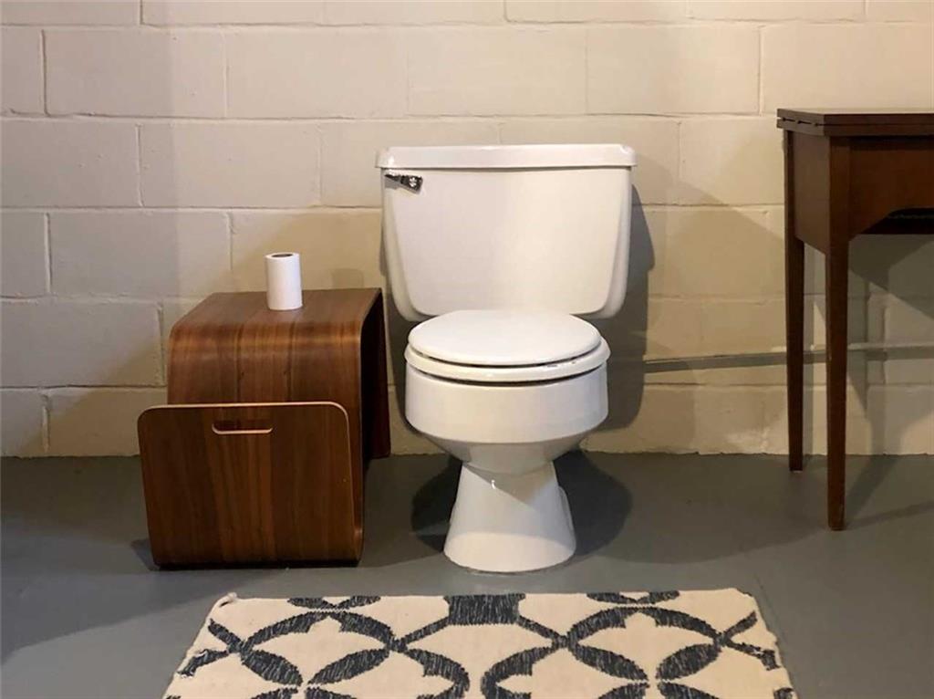 2407 Collins Road Pittsburgh, PA 15235 - Photo 22 of 25 Pittsburgh potty in basement!