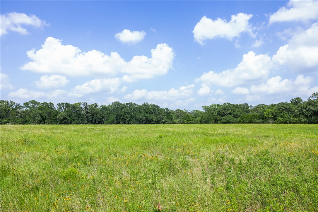 0 Hopes Creek Road College Station, TX 77845 - Photo 15 of 24