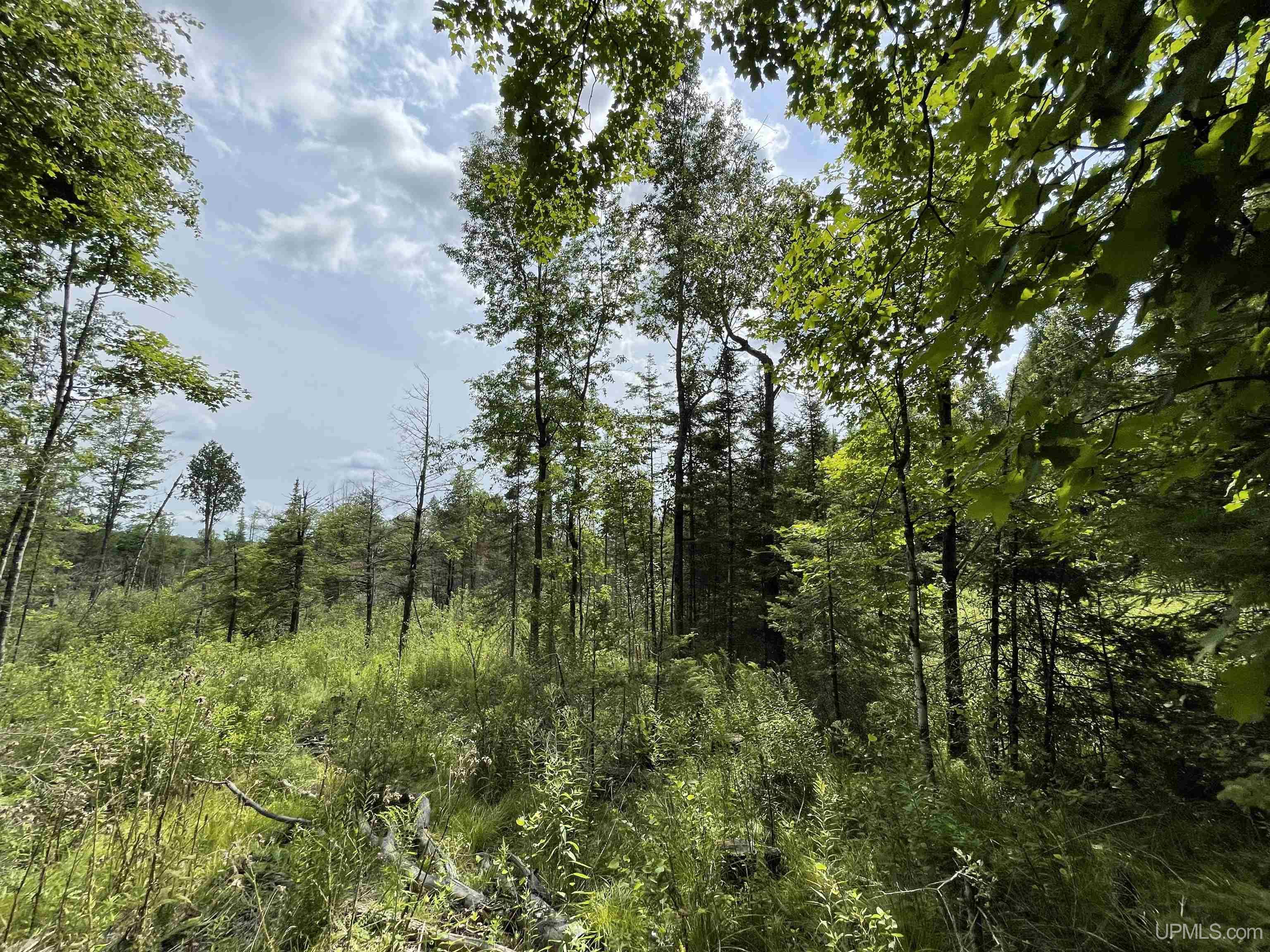1 Gustafson Road Vulcan, MI 49892 - Photo 22 of 55