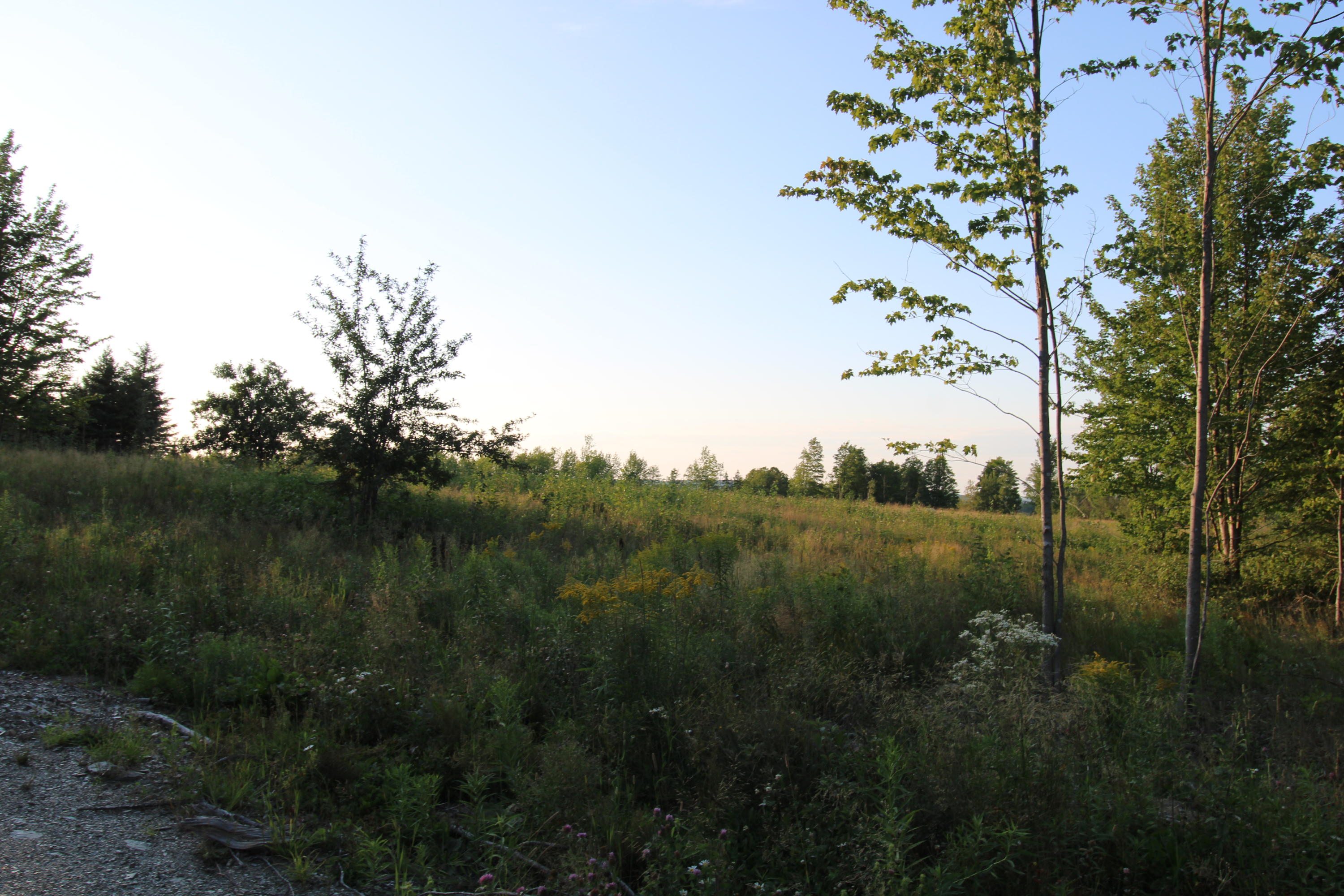 Map9-lot11 Tupper Road Perham, ME 04766 - Photo 2 of 6 IMG_0986
