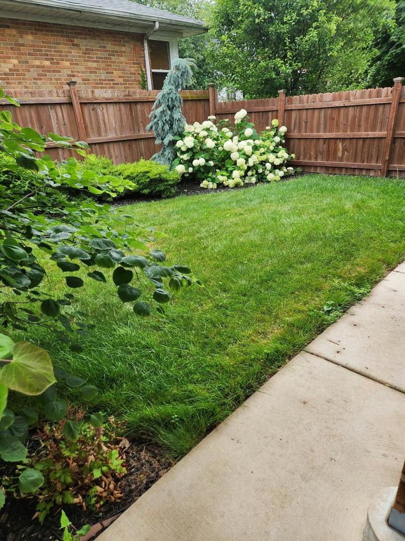 532 Beloit Avenue, Unit 2 Forest Park, IL 60130 - Photo 11 of 12 a view of a backyard with plants