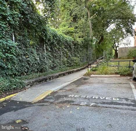 a view of a road with a yard
