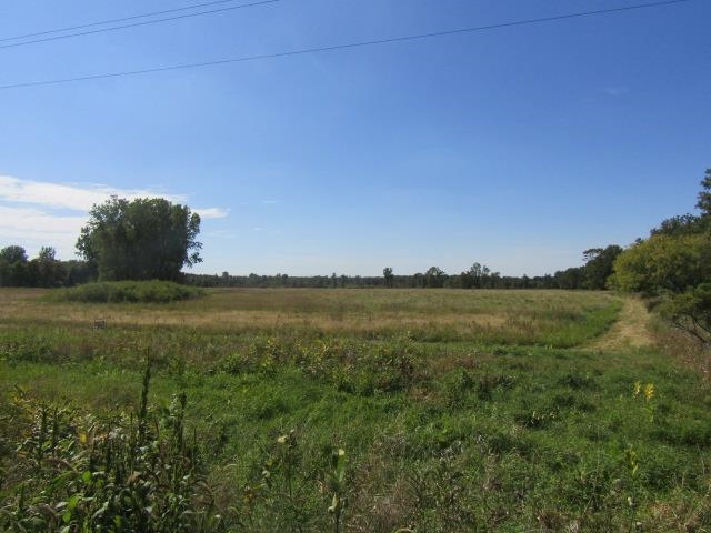 V/l South Morrice Road Owosso, MI 48867 - Photo 2 of 3