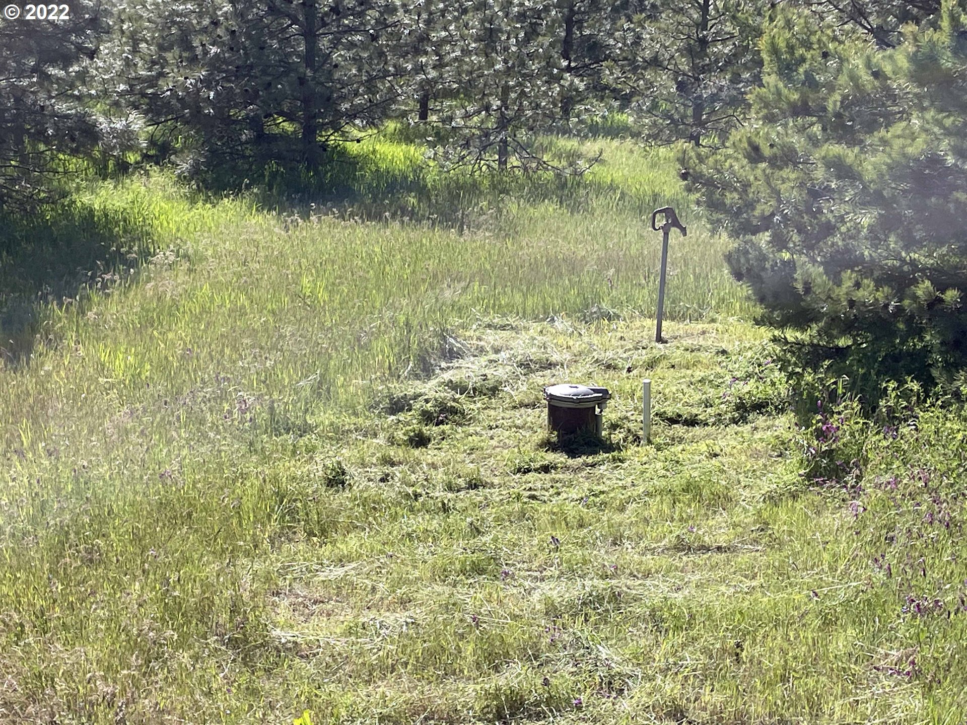 1955 State Road Mosier, OR 97040 - Photo 16 of 16 Gallery Image 16