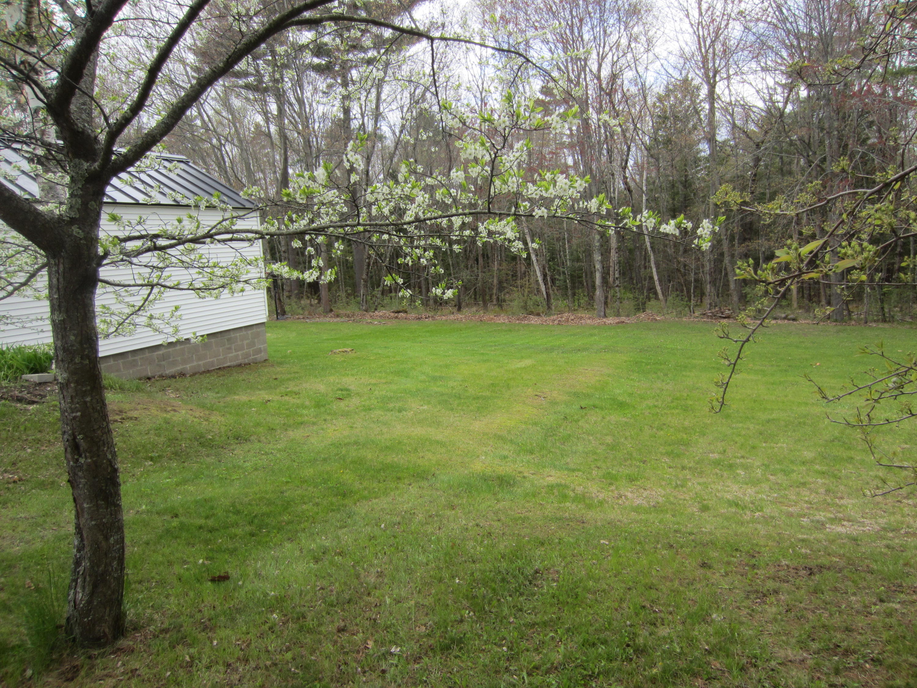 210 Middlesex Road Topsham, ME 04086 - Photo 19 of 22 IMG_4441