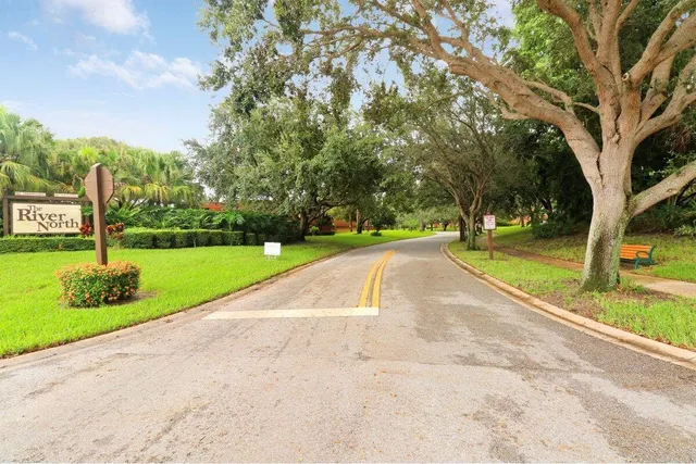 a view of a park with large trees