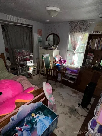 a living room with furniture a rug and a closet