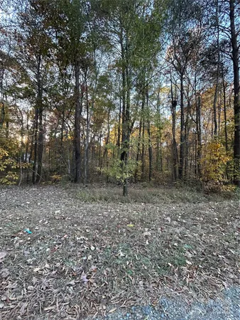 a view of outdoor space with trees