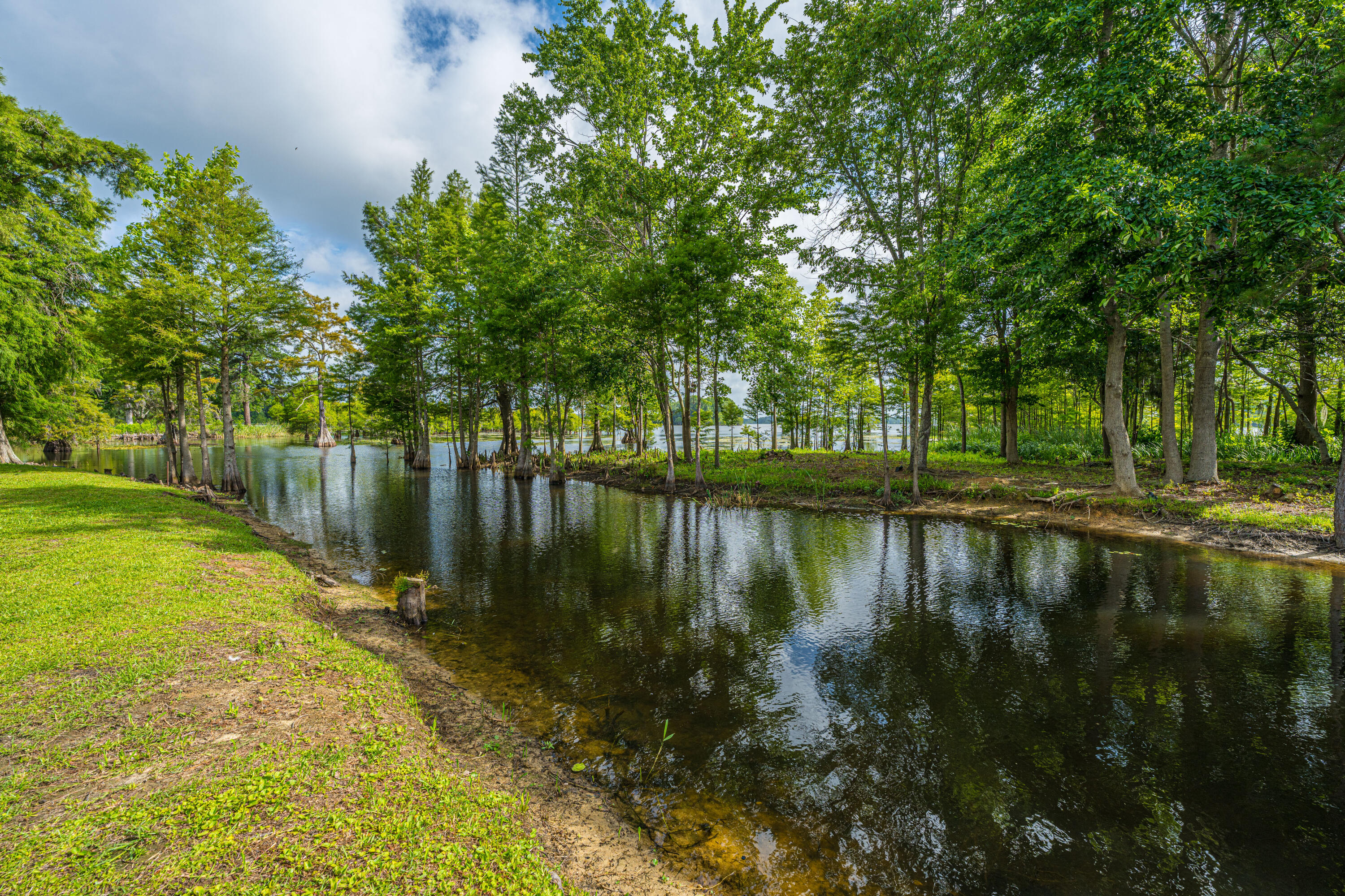 1232 Longpoint Road Cross, SC 29436 - Photo 48 of 64 1232LongpointRd055