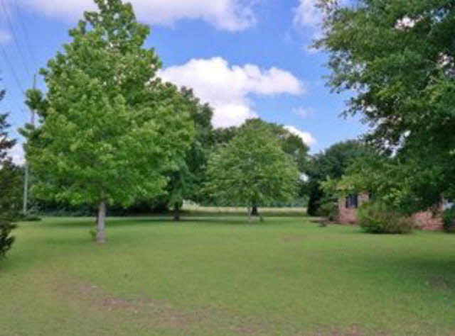 18545 County Road 26 Foley, AL 36535 - Photo 3 of 18 Beautiful Yard