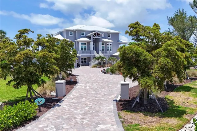a view of a garden with plants and large trees