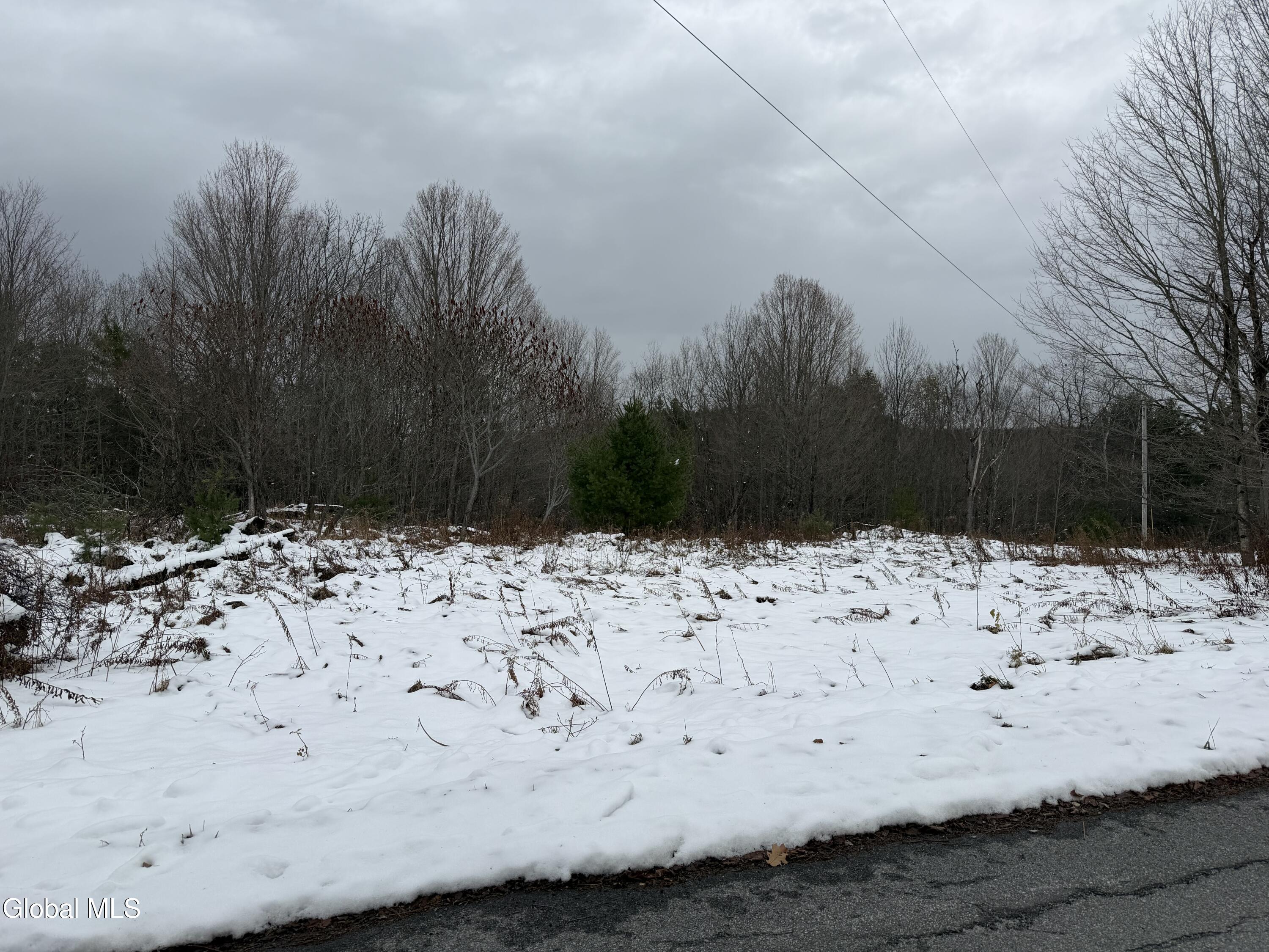 L11.000 Mutton Hollow Road Moriah, NY 12960 - Photo 2 of 6 front