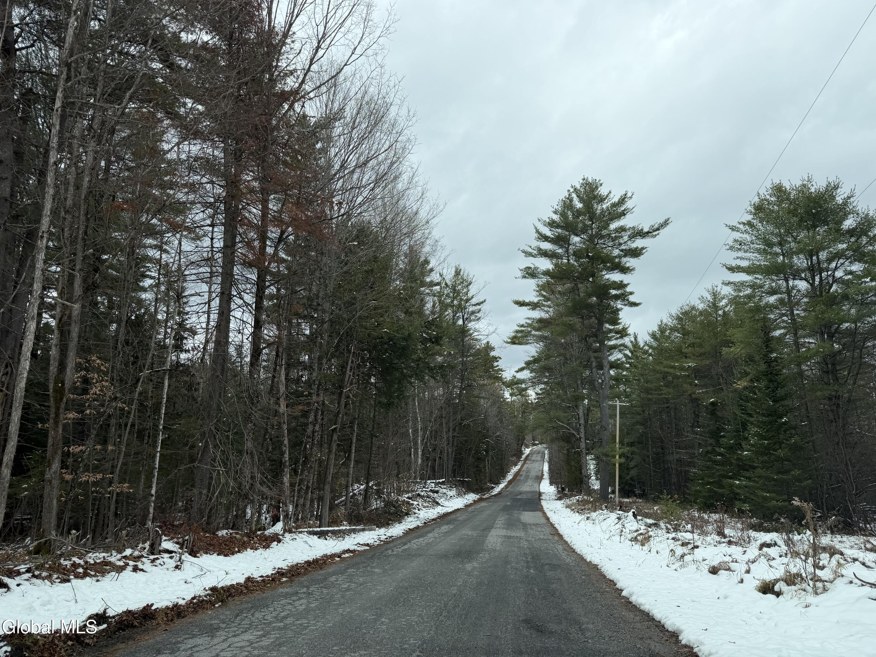 L11.000 Mutton Hollow Road Moriah, NY 12960 - Photo 3 of 6 IMG_0694