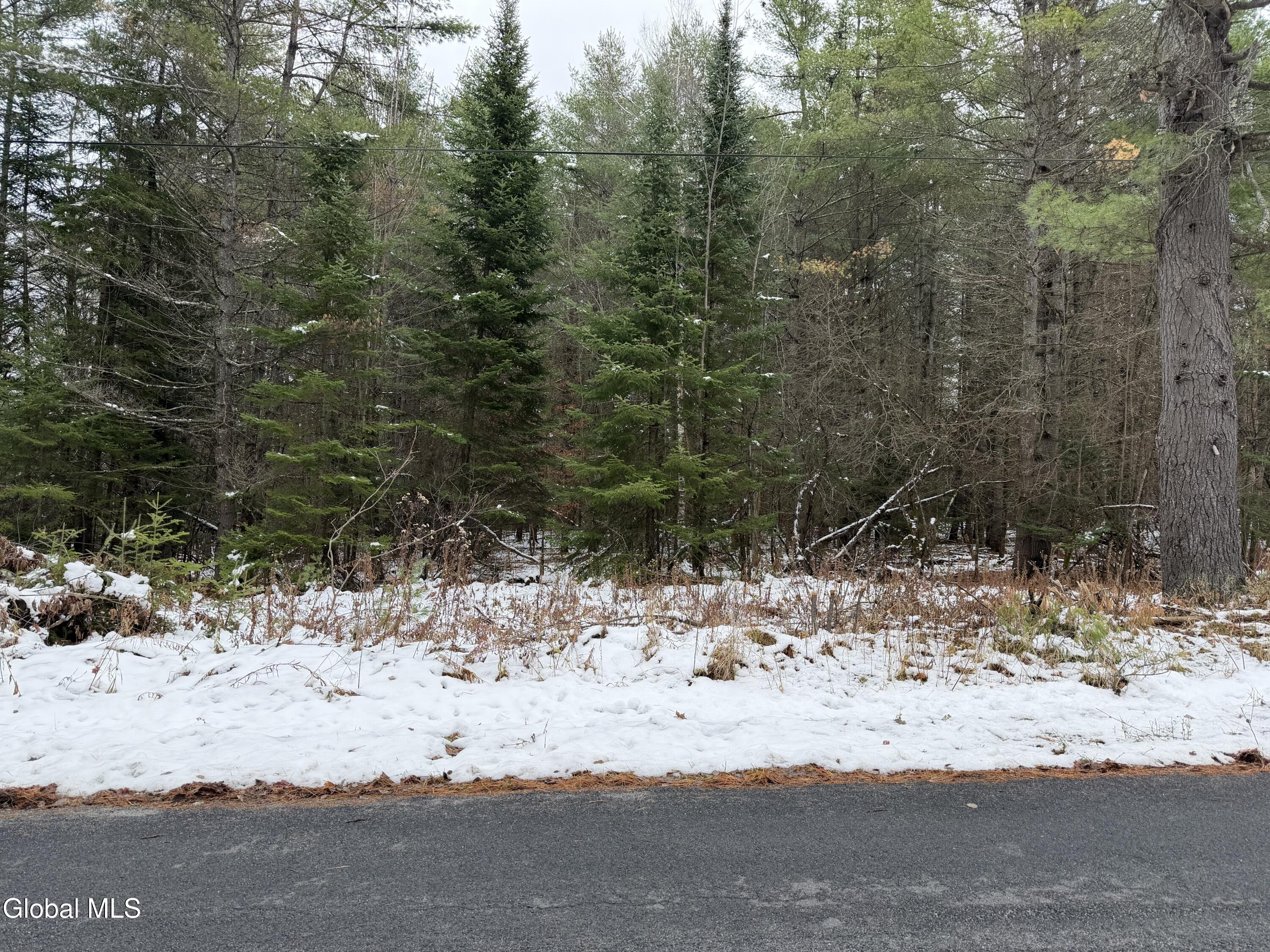 L11.000 Mutton Hollow Road Moriah, NY 12960 - Photo 6 of 6 IMG_0690