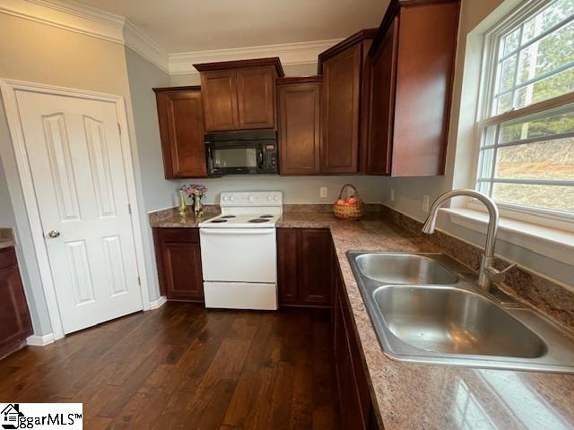 312 Engelmann Lane Simpsonville, SC 29680 - Photo 24 of 37