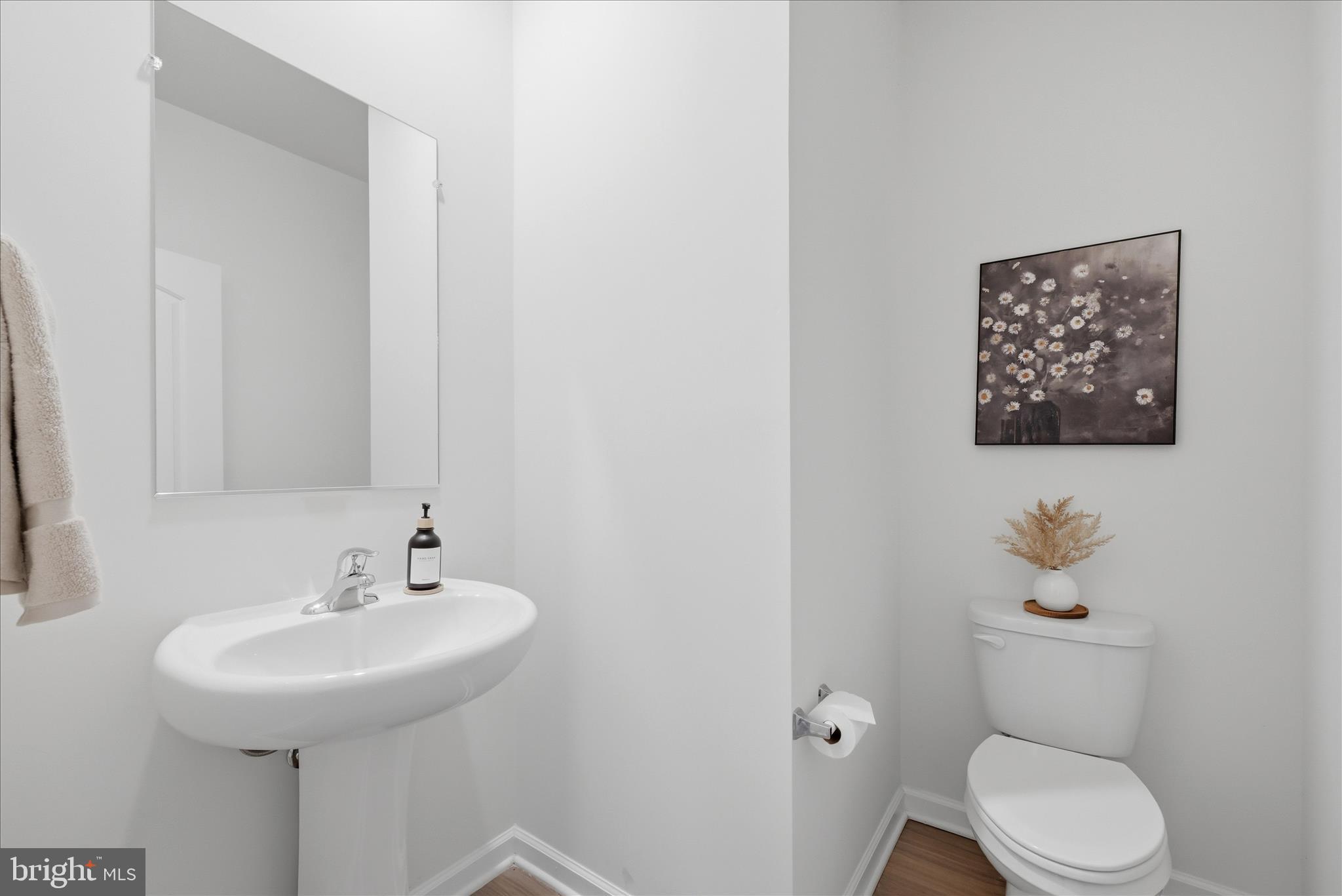 697 Rivanna Run Falling Waters, WV 25419 - Photo 19 of 63 Half Bathroom