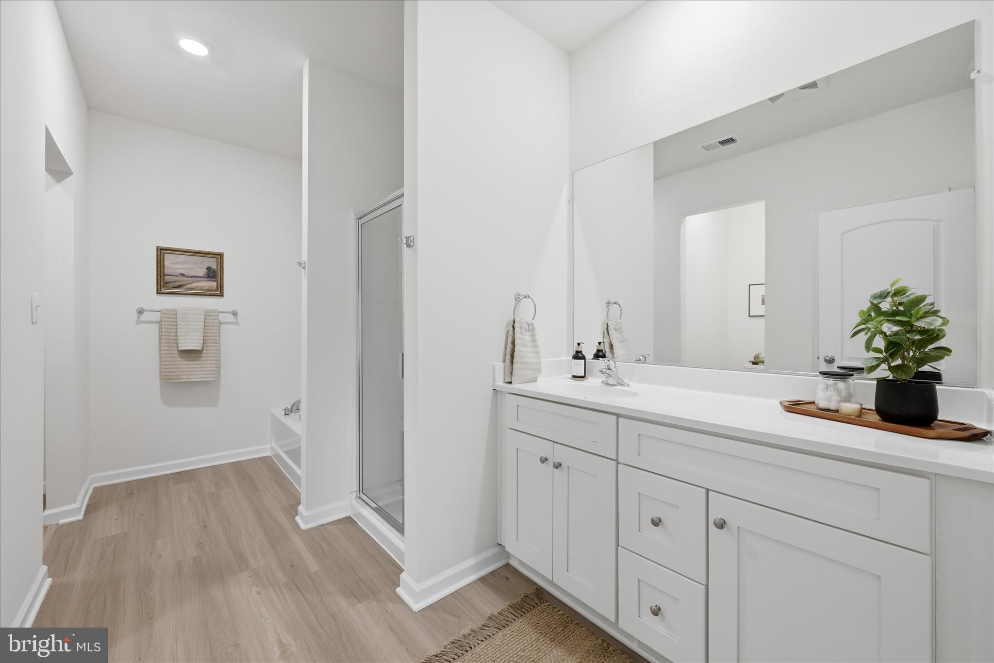 697 Rivanna Run Falling Waters, WV 25419 - Photo 22 of 63 Primary Bathroom