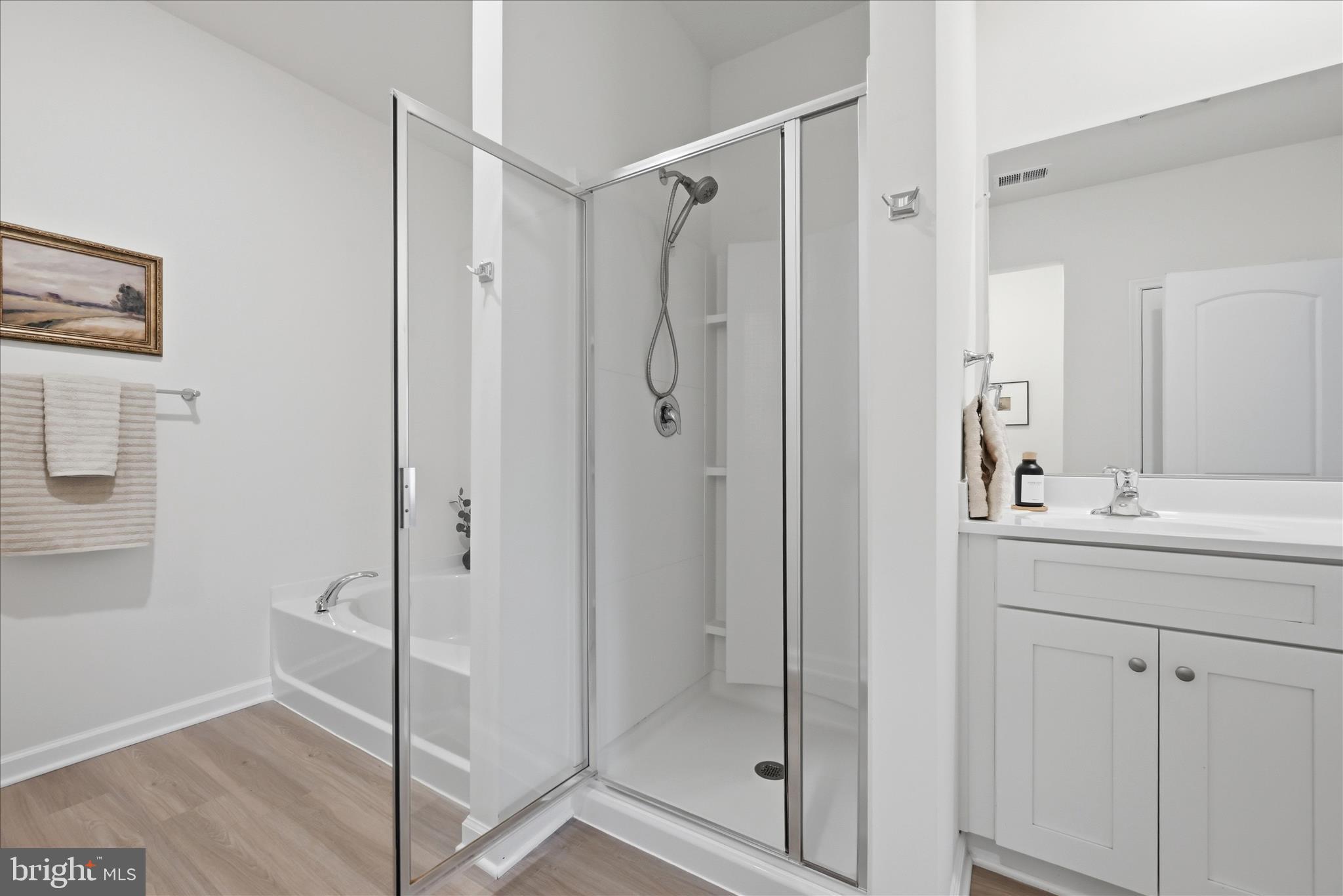 697 Rivanna Run Falling Waters, WV 25419 - Photo 23 of 63 Primary Bathroom