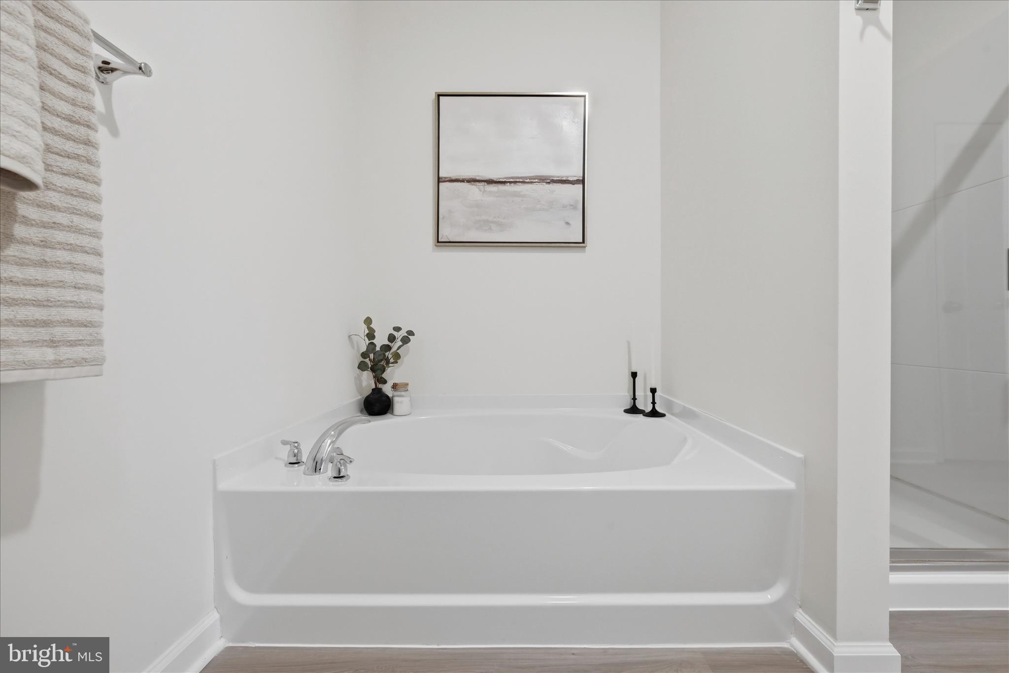 697 Rivanna Run Falling Waters, WV 25419 - Photo 24 of 63 Primary Bathroom