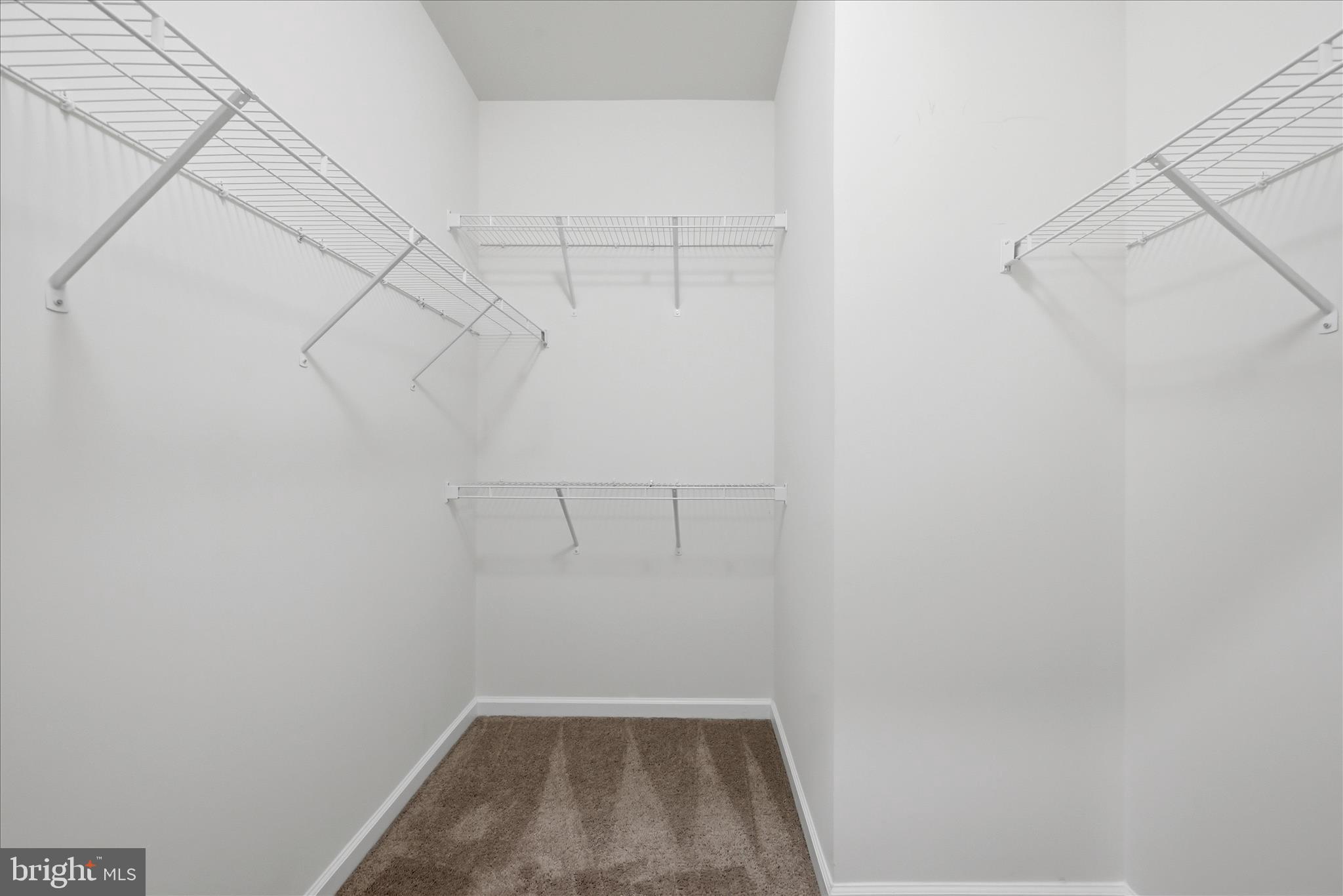 697 Rivanna Run Falling Waters, WV 25419 - Photo 25 of 63 Closet