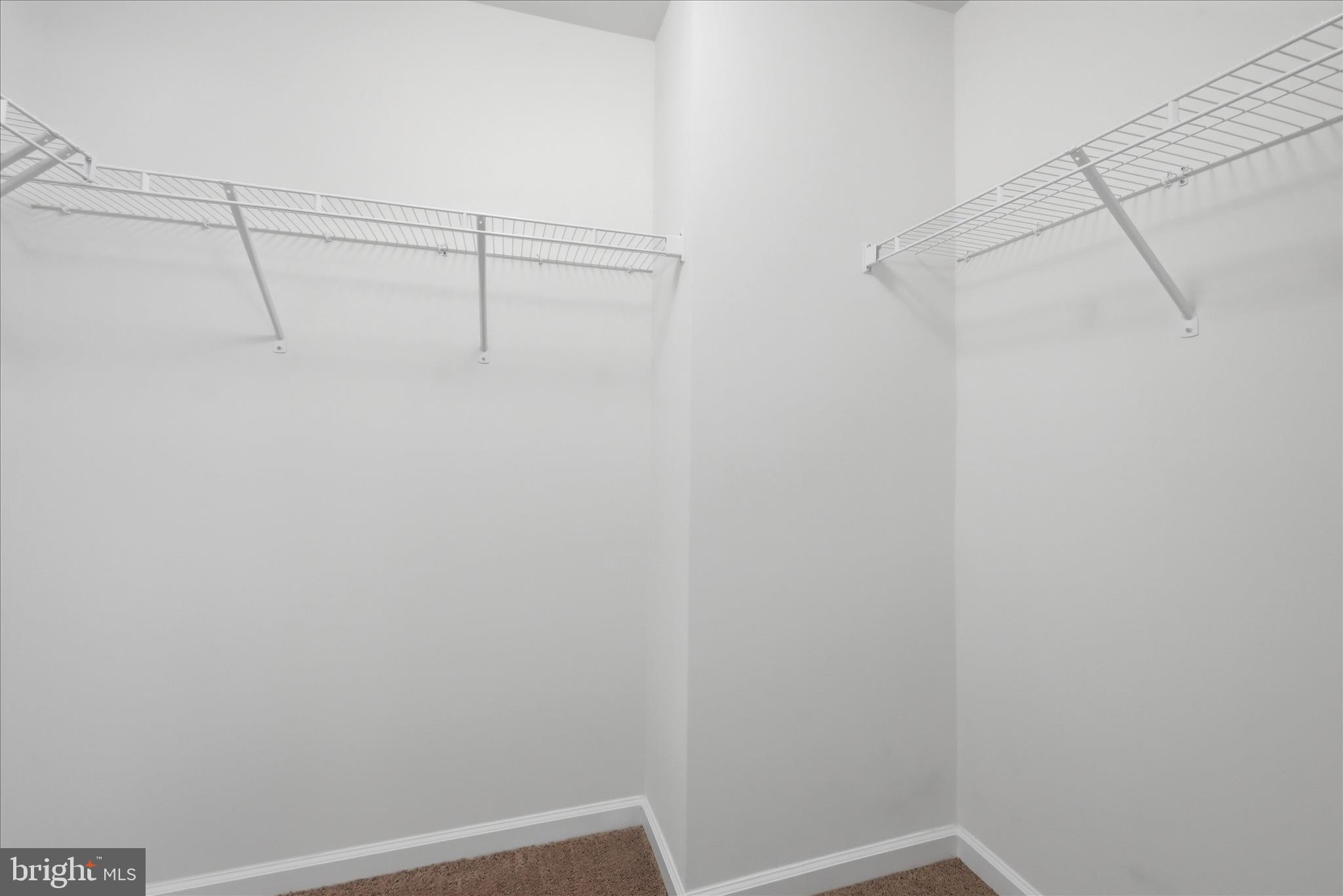 697 Rivanna Run Falling Waters, WV 25419 - Photo 33 of 63 Closet