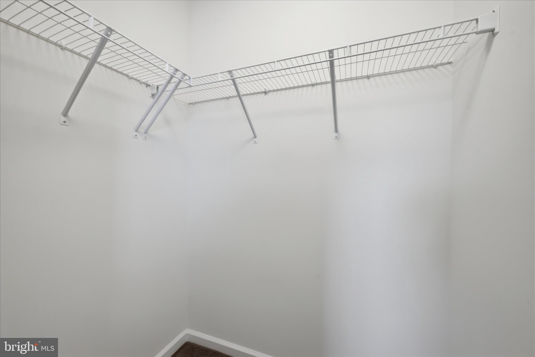 697 Rivanna Run Falling Waters, WV 25419 - Photo 37 of 63 Closet