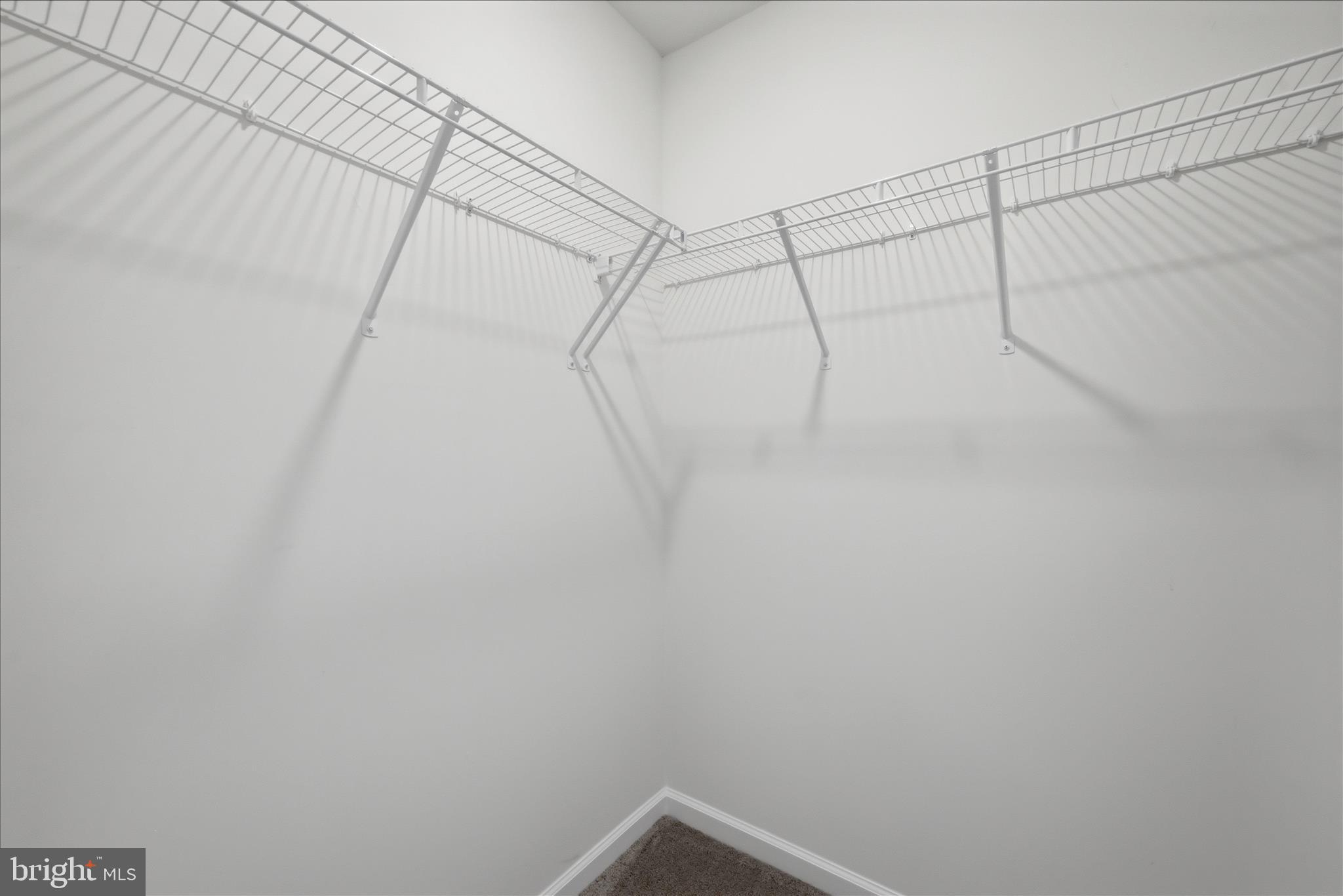 697 Rivanna Run Falling Waters, WV 25419 - Photo 42 of 63 Closet