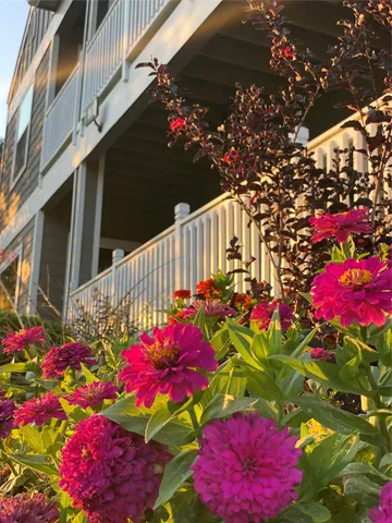 $4,000 | 3359 Ozark Street, Houston, TX 77021