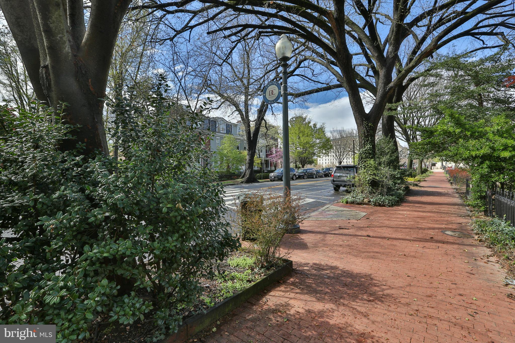 436 New Jersey Avenue Southeast Washington, DC 20003 - Photo 3 of 13 a view of backyard with green space