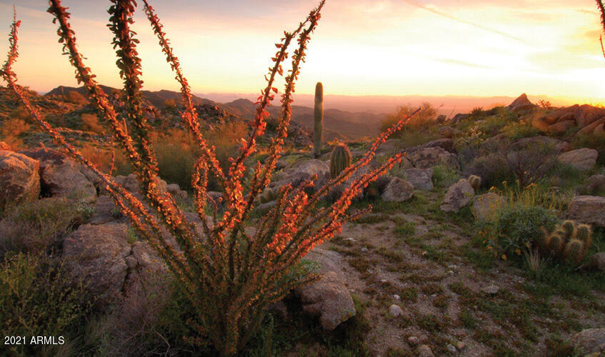 21063 West Berkeley Road Buckeye, AZ 85396 - Photo 44 of 45 VERRADO WITH PLACES TO HIKE