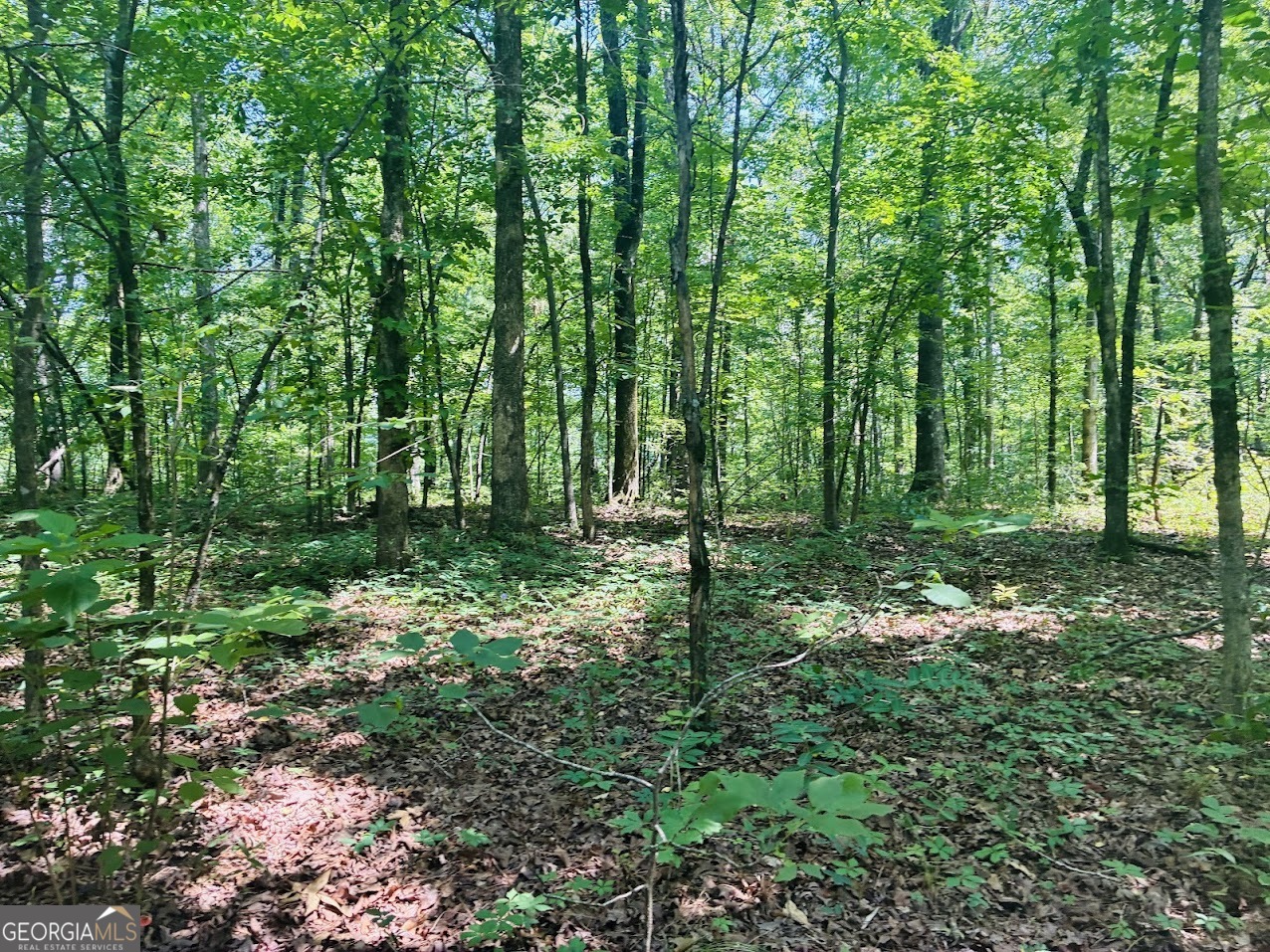 0 Forest Glen Road, Unit A Sylacauga, AL 35151 - Photo 21 of 34