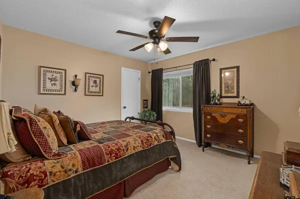 an aerial view of a forest