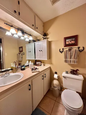 a bathroom with a toilet a sink and mirror