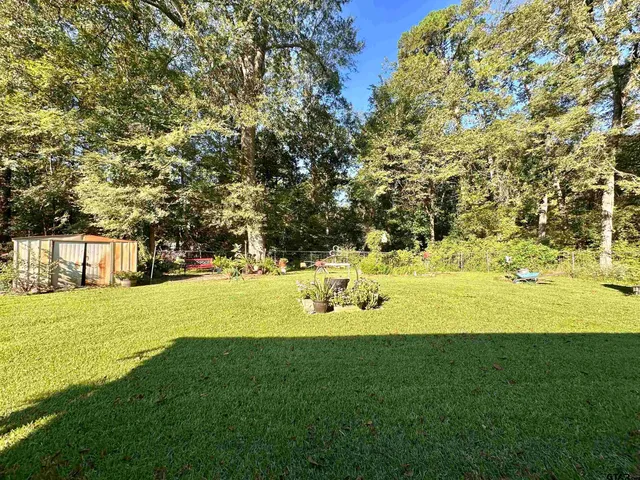 a view of a trees with yard
