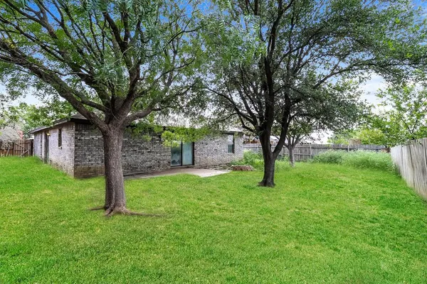 a big tree in middle of the garden