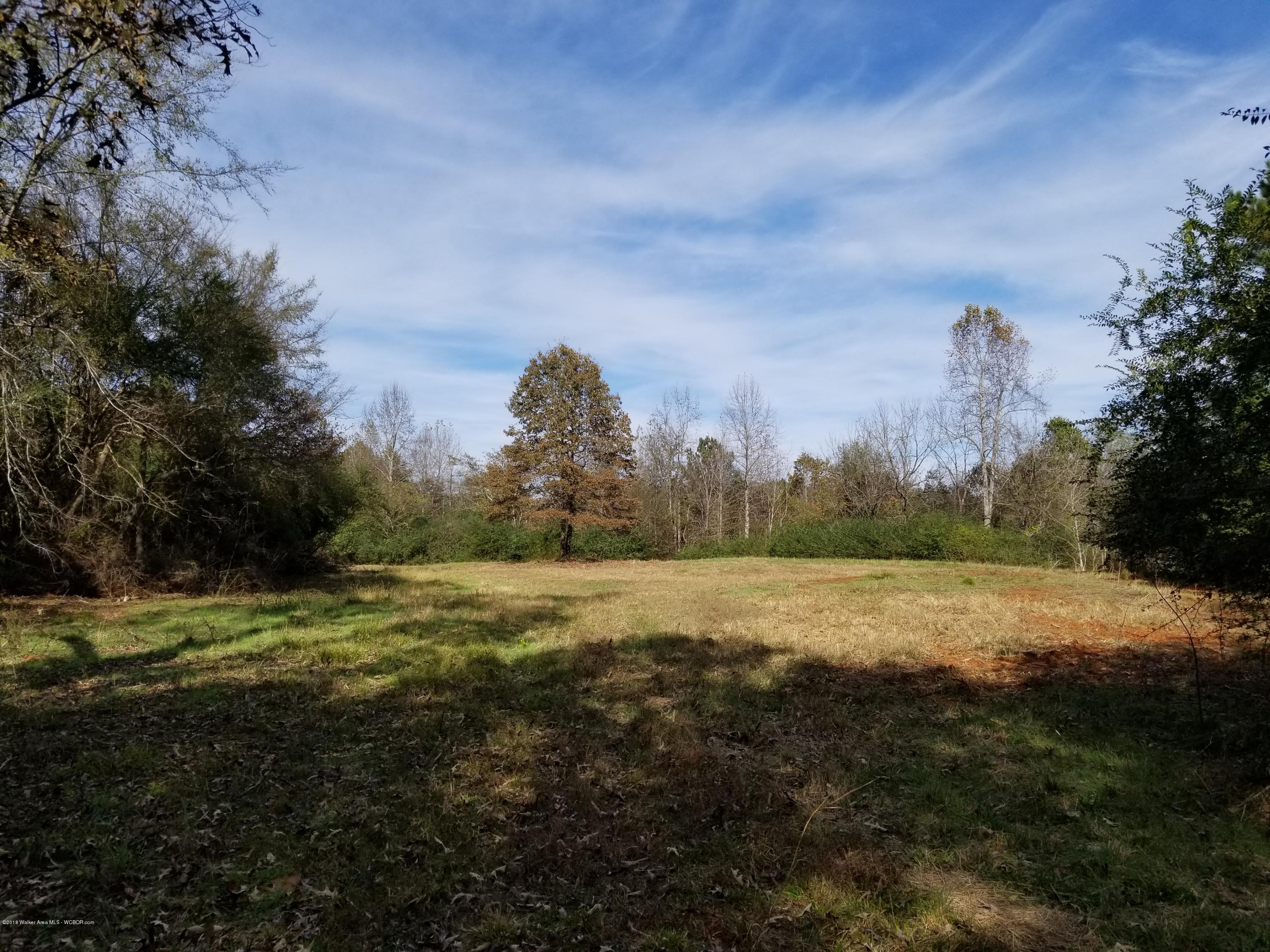 Blackwood Road Oakman, AL 35579 - Photo 6 of 21 Gallery Image 6