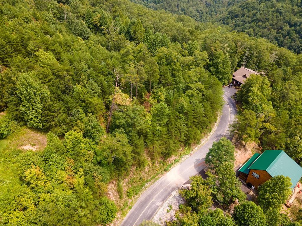 30 Ridgeback Lane Sevierville, TN 37862 - Photo 8 of 34
