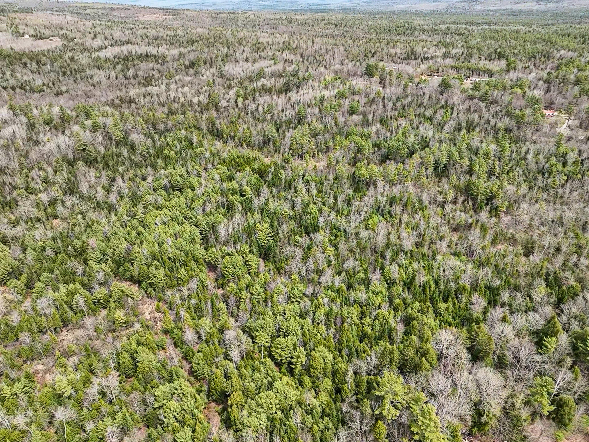 Lot 3 Carthage Road, Unit LOT 3 Carthage, ME 04224 - Photo 7 of 14