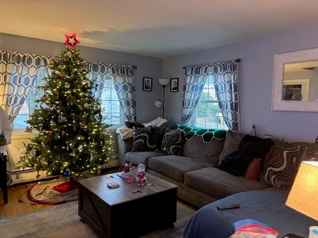a living room with furniture and a potted plant
