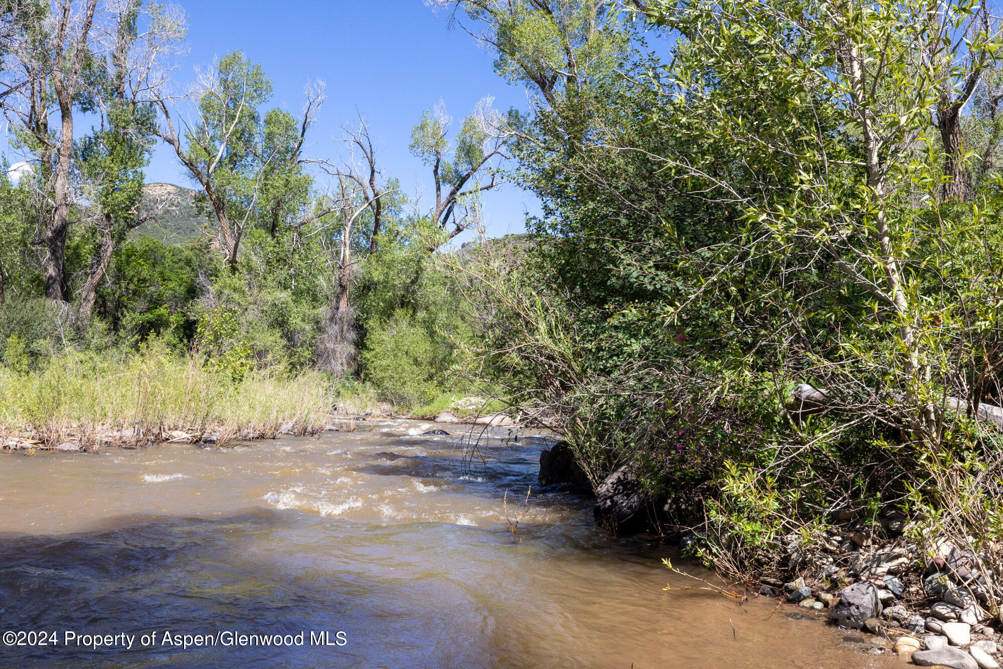 Tbd East Divide Creek Road New Castle, CO 81647 - Photo 3 of 16 2L4A9648
