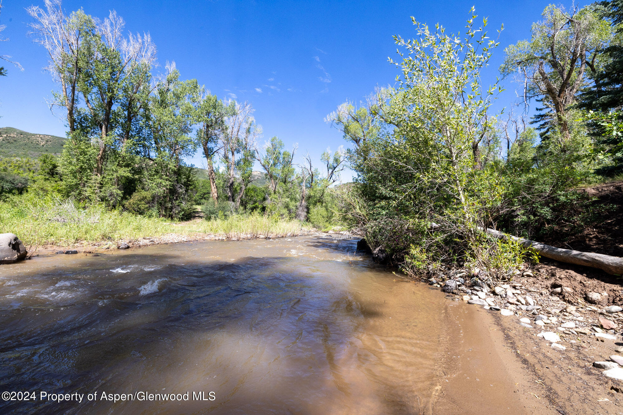 Tbd East Divide Creek Road New Castle, CO 81647 - Photo 5 of 16 2L4A9637