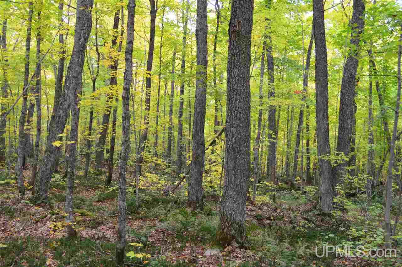 Tbd Peshekee Grade Road Skanee, MI 49962 - Photo 5 of 35