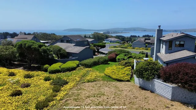 a view of a garden with lawn chairs