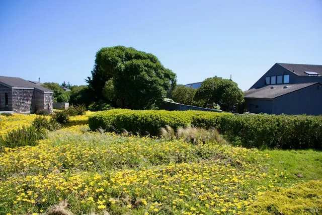 a view of a garden with a house